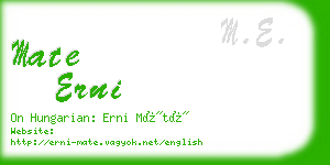 mate erni business card